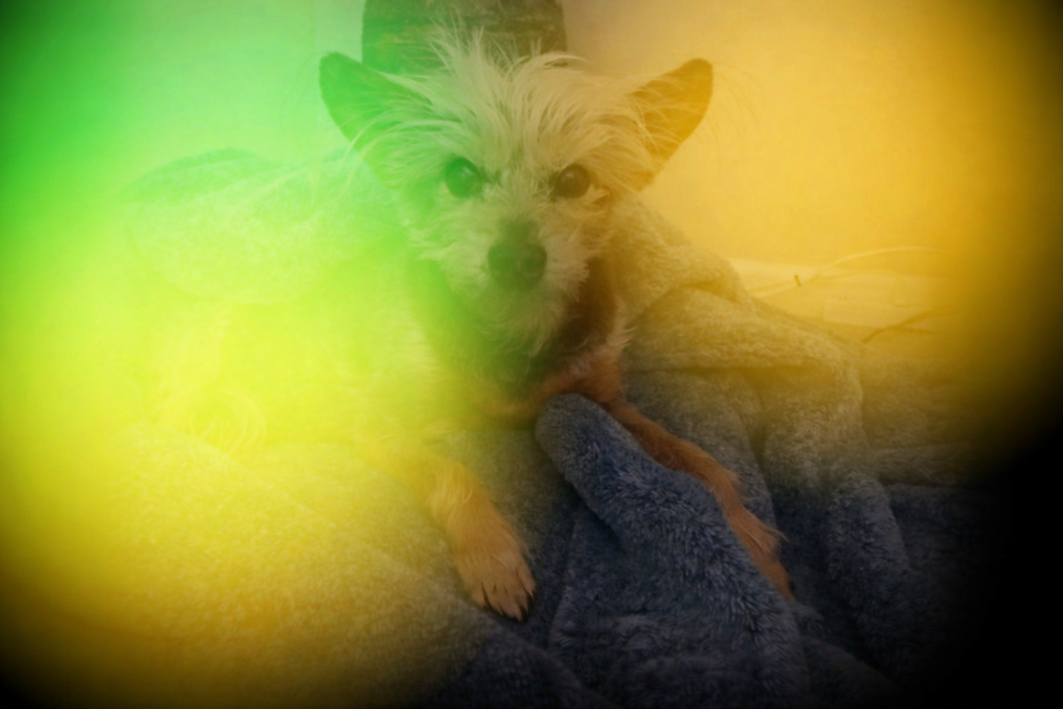 ChatGPT Image Mar 31, 2026, 12_01_14 AM